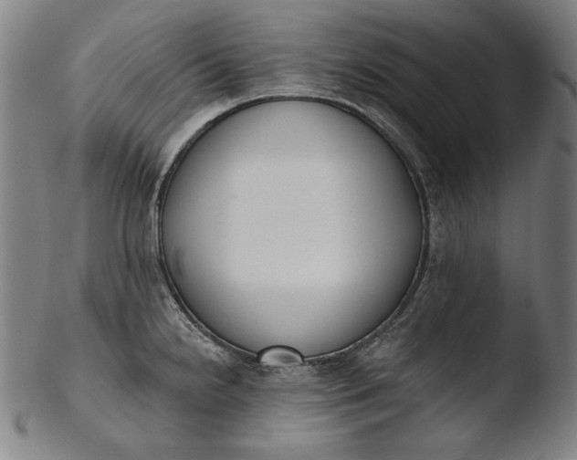 X0000103461238200809261833