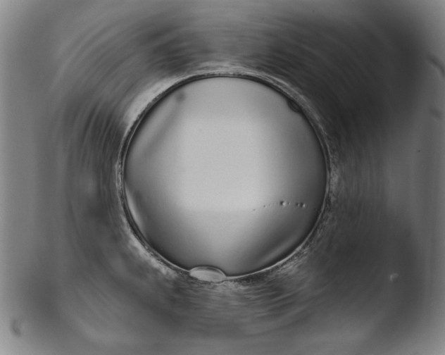 X0000103461239200809261833