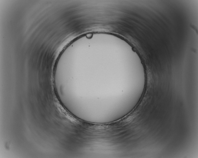 X0000103461240200809261833