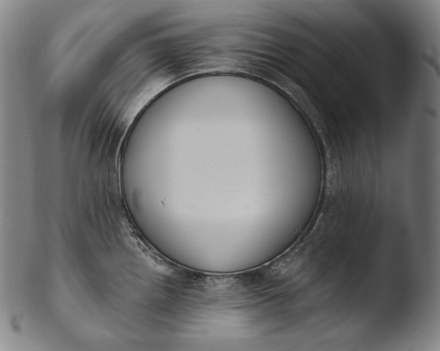 X0000103461242200809261833