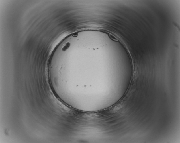 X0000103461243200809261833