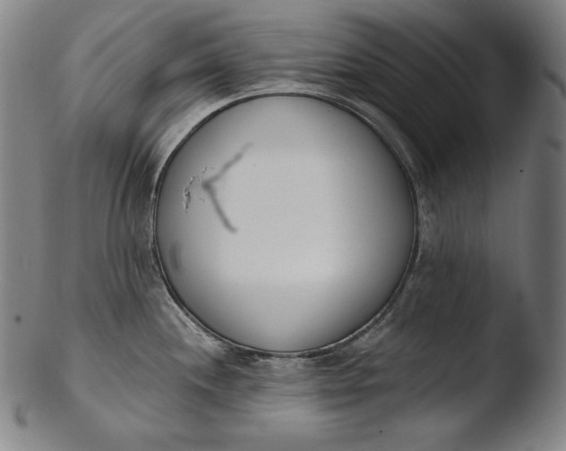 X0000103461244200809261833