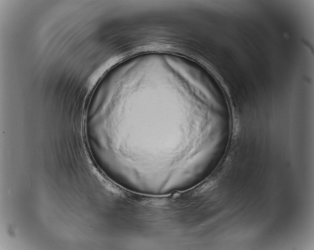 X0000103461245200809261833