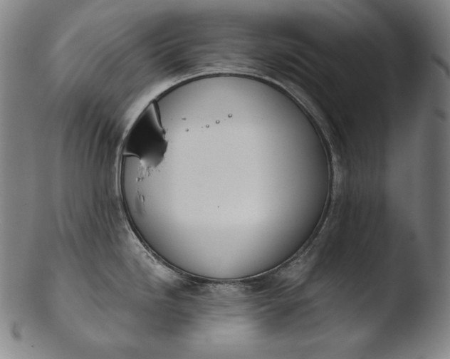 X0000103461246200809261833