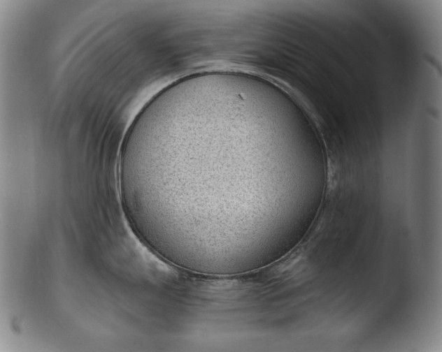 X0000103461247200809261833