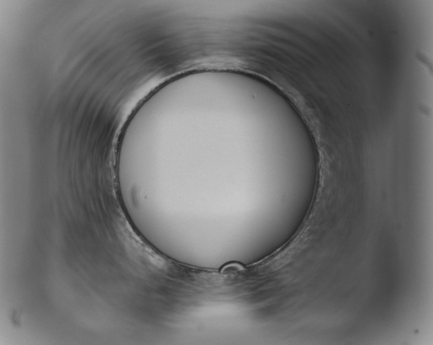 X0000103461248200809261833