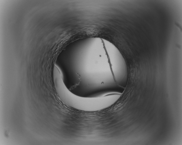 X0000103461249200809261832