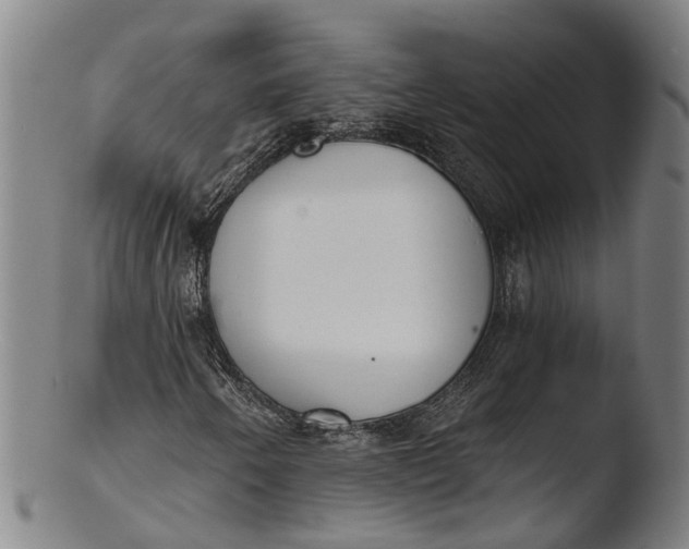 X0000103461250200809261832