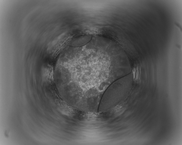 X0000103461251200809261832