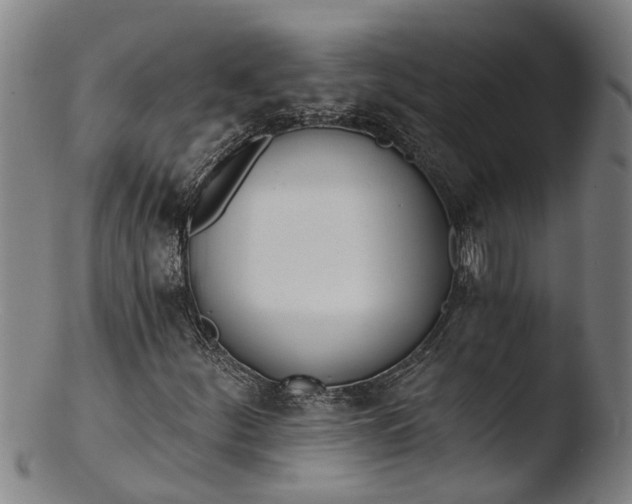 X0000103461252200809261832