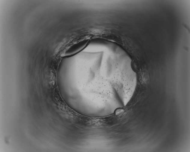 X0000103461253200809261832