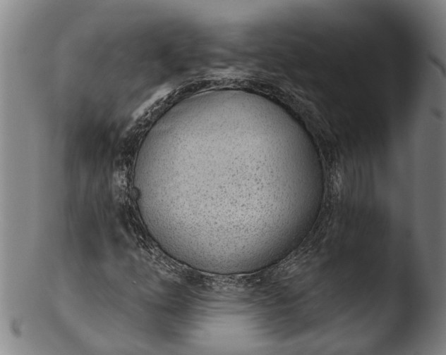 X0000103461254200809261832