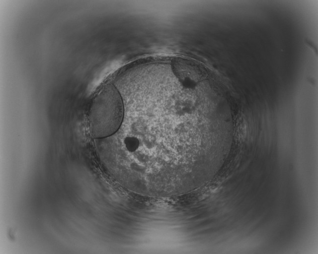 X0000103461255200809261832