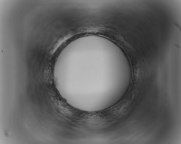 X0000103461256200809261832