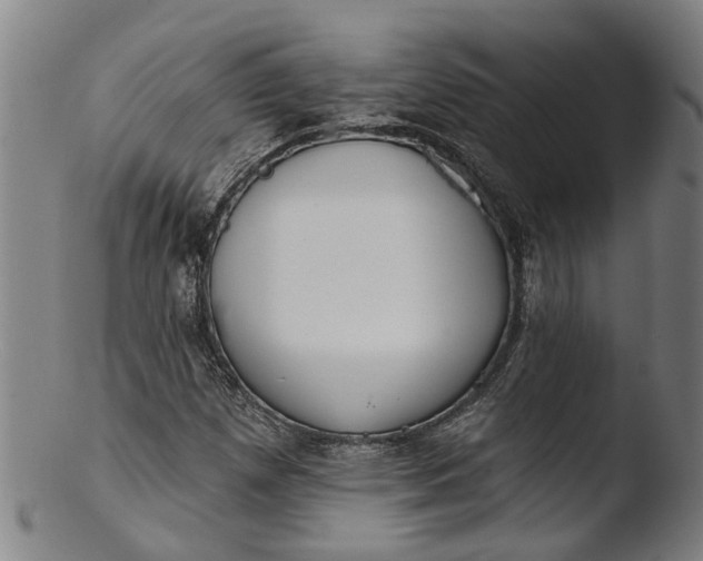 X0000103461257200809261832