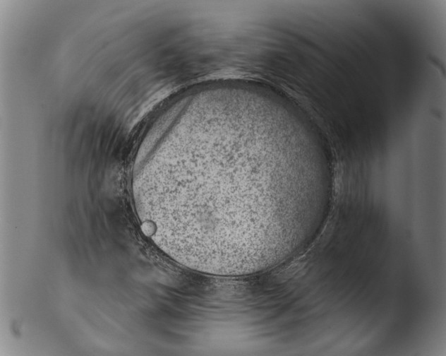 X0000103461258200809261832