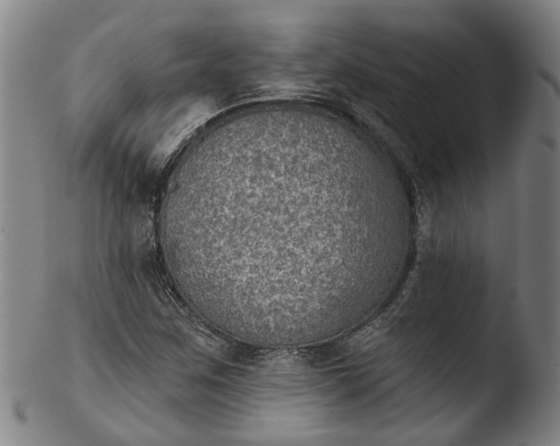 X0000103461259200809261832