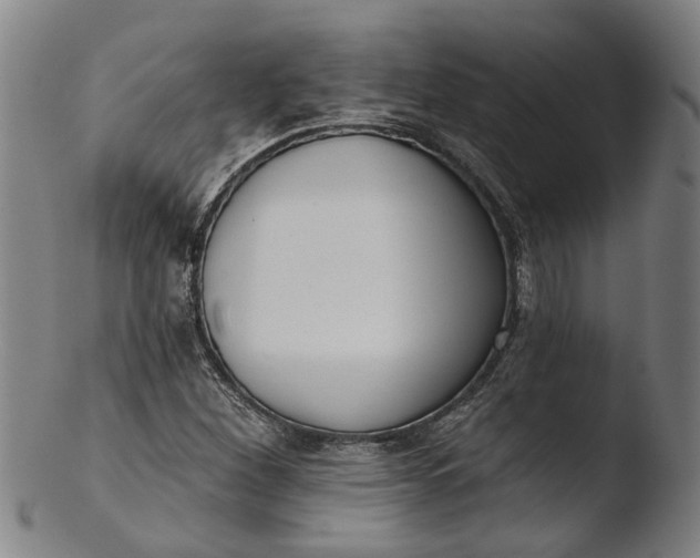 X0000103461260200809261832