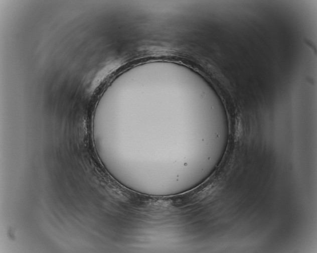 X0000103461261200809261832