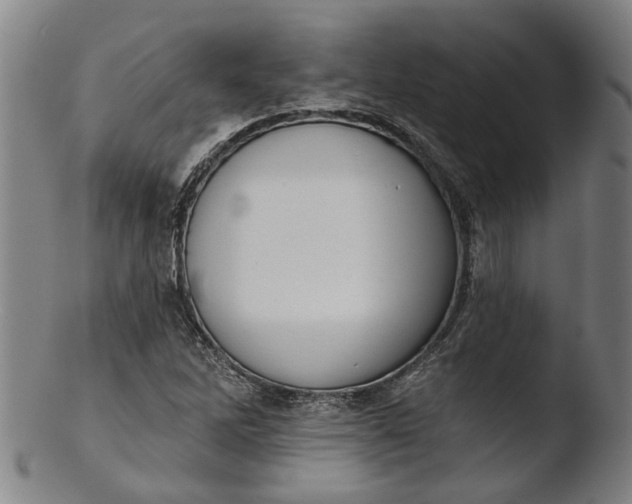 X0000103461262200809261832