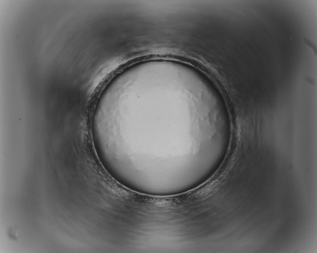 X0000103461263200809261832