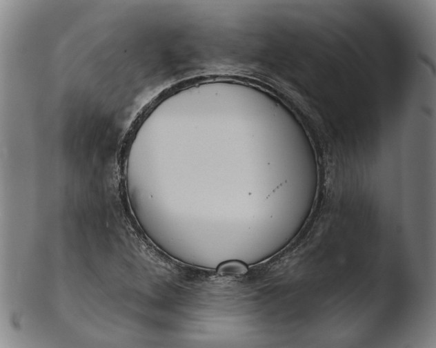 X0000103461264200809261832