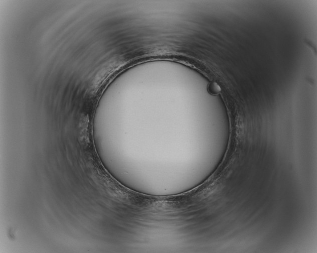 X0000103461265200809261832