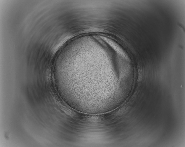 X0000103461266200809261832