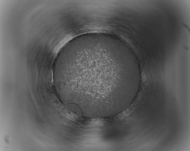 X0000103461267200809261832