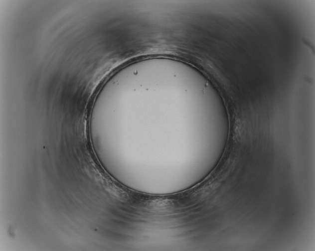 X0000103461268200809261832