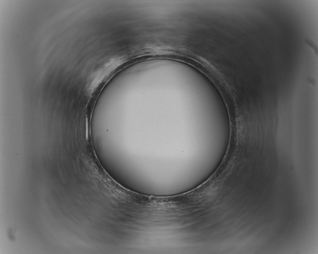 X0000103461269200809261832