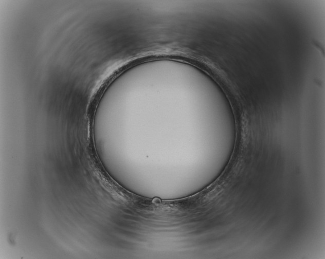 X0000103461270200809261832