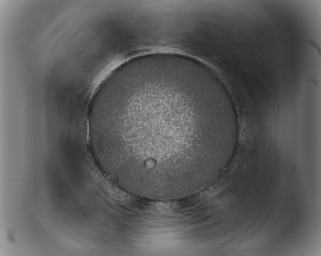 X0000103461271200809261832