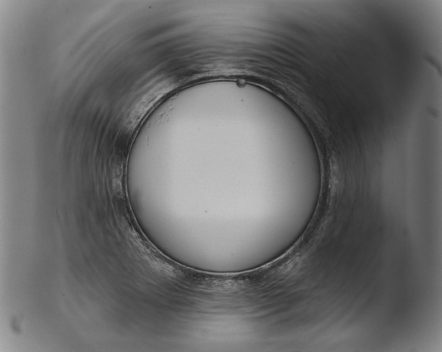 X0000103461273200809261832