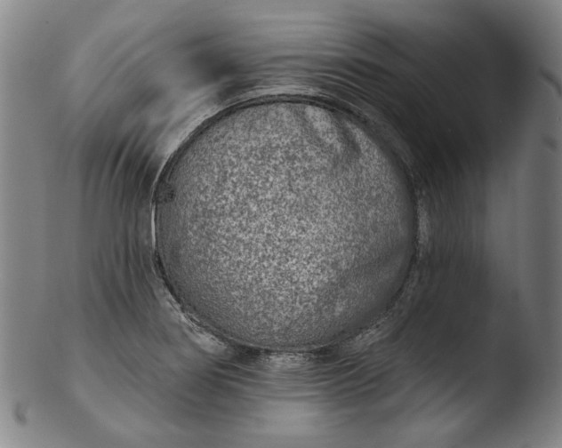 X0000103461274200809261832