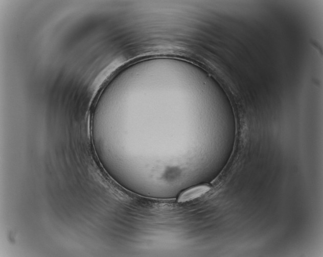 X0000103461275200809261832