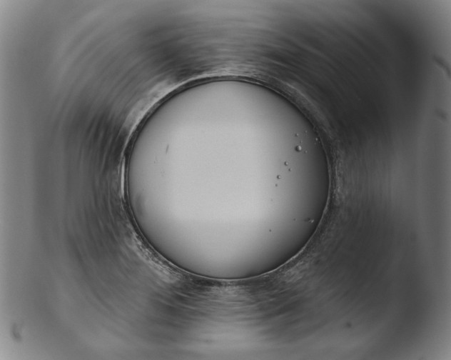 X0000103461276200809261832