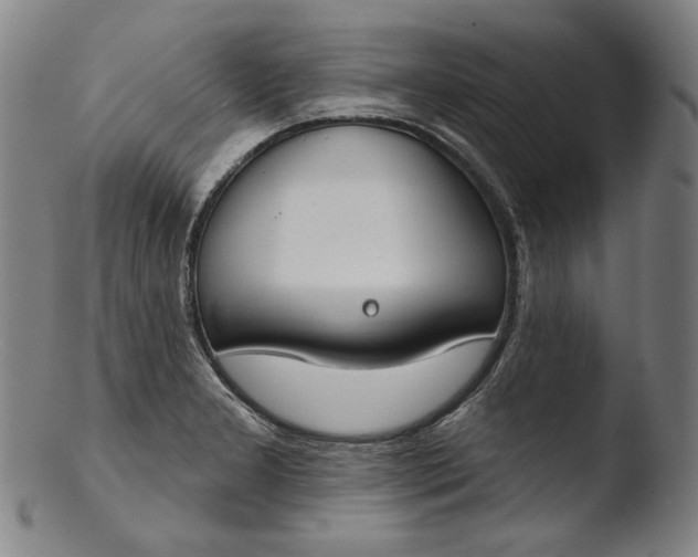 X0000103461277200809261832