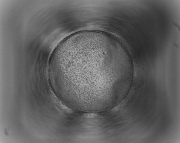 X0000103461278200809261832