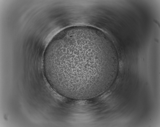 X0000103461279200809261832