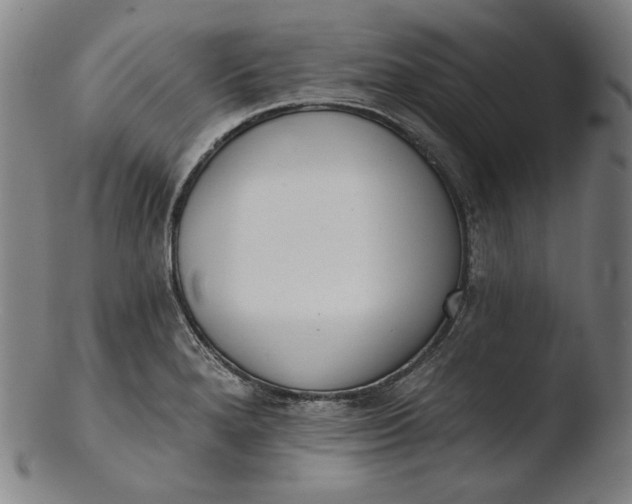 X0000103461280200809261832