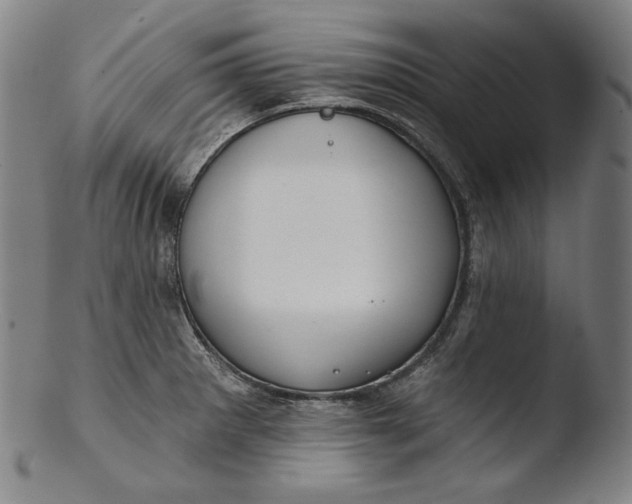 X0000103461281200809261832