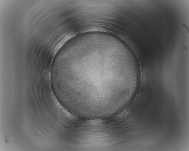 X0000103461282200809261832