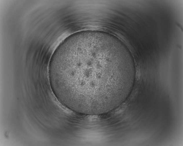 X0000103461283200809261832