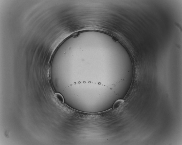 X0000103461284200809261832