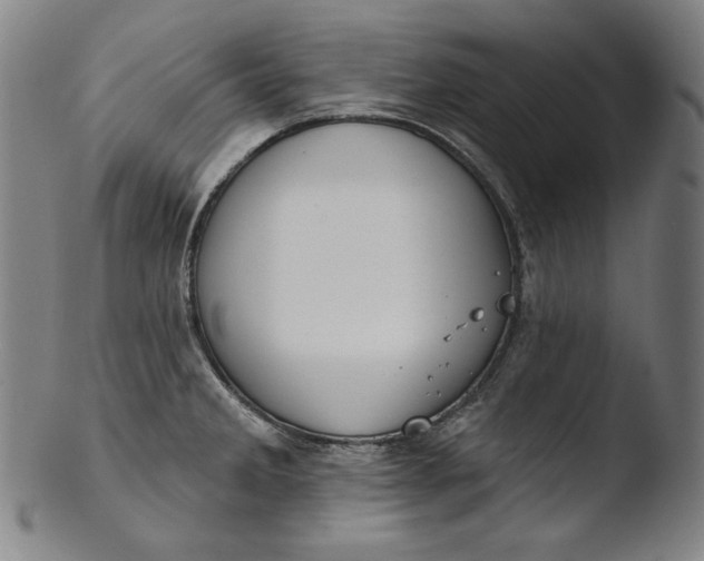 X0000103461285200809261832