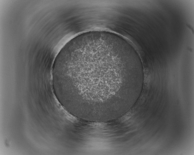 X0000103461287200809261832