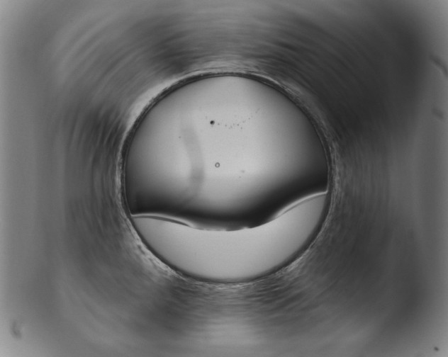 X0000103461288200809261832