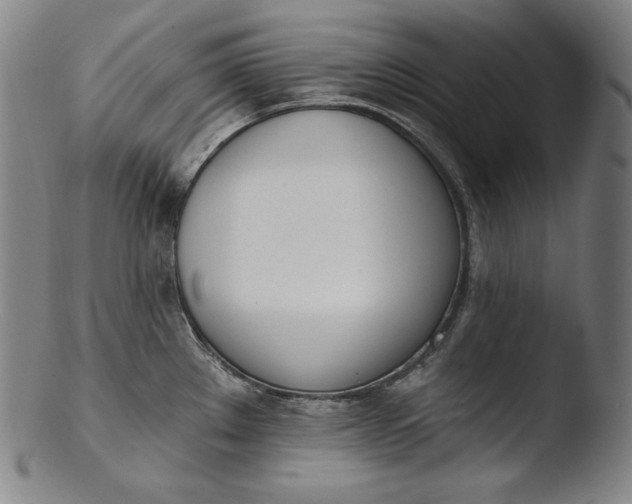 X0000103461289200809261832