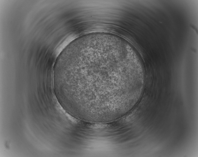 X0000103461290200809261832